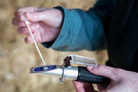 photo of using a refractometer used to test brix|how does a brix refractometer work.